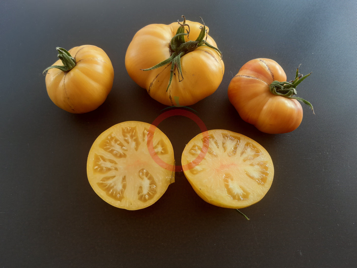 Pineapple Pig DER TOMATENFLÜSTERER