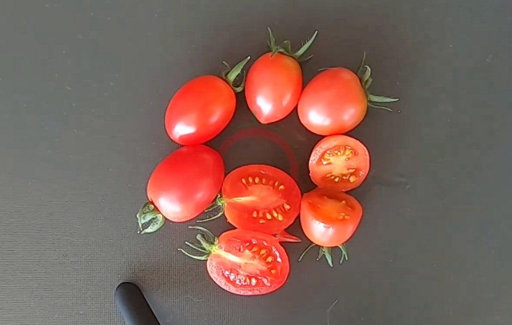 Pink Grape DER TOMATENFLÜSTERER