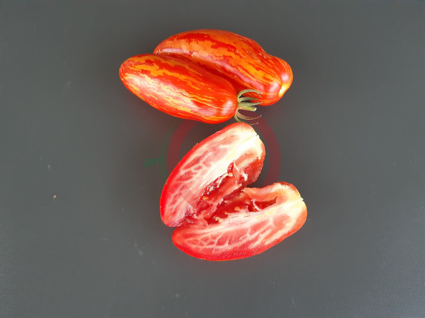 Piprakujuline Triibuline DER TOMATENFLÜSTERER