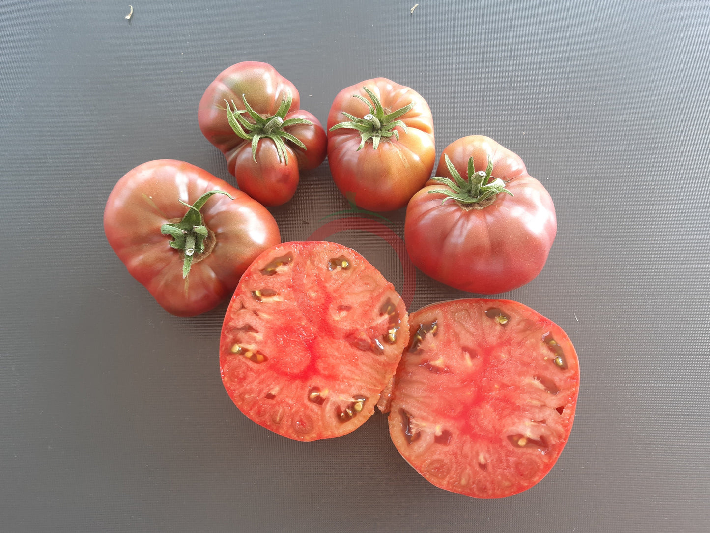 Polaris DER TOMATENFLÜSTERER