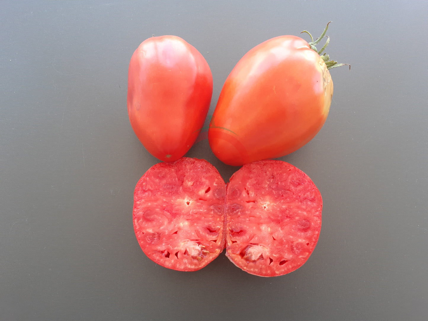 Pomodore Cuore Antico di Acqui Therme DER TOMATENFLÜSTERER