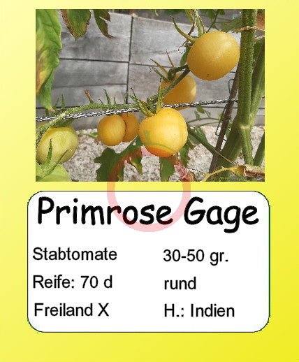 Primrose Gage DER TOMATENFLÜSTERER