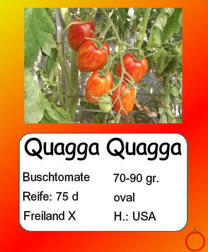 Quagga Quagga DER TOMATENFLÜSTERER