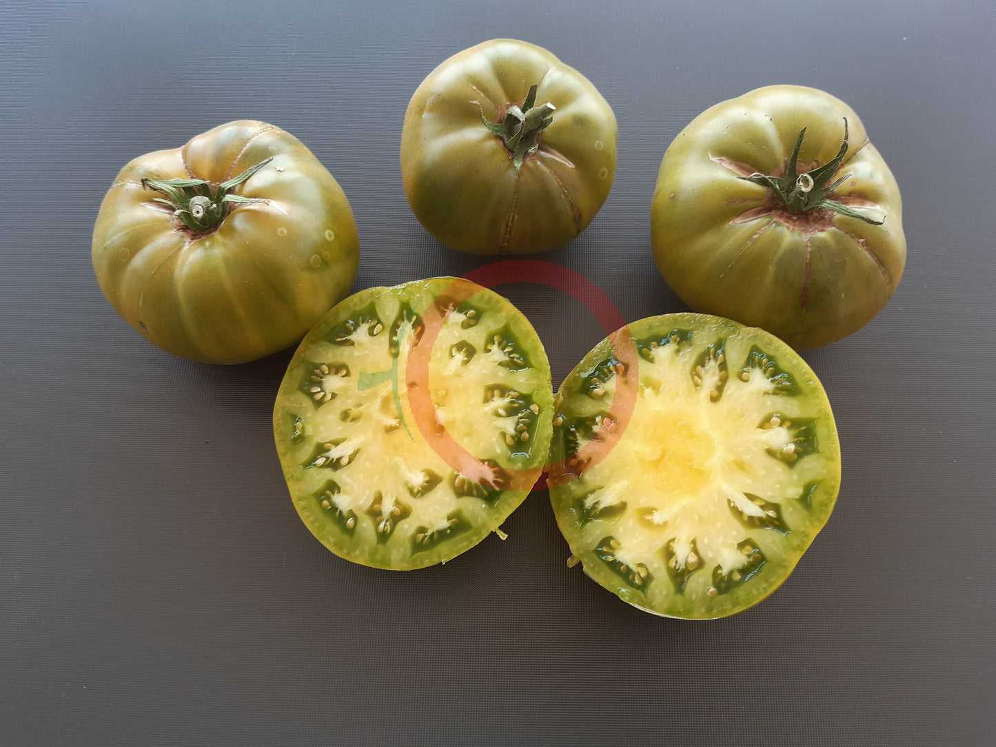 Quapaw Green DER TOMATENFLÜSTERER