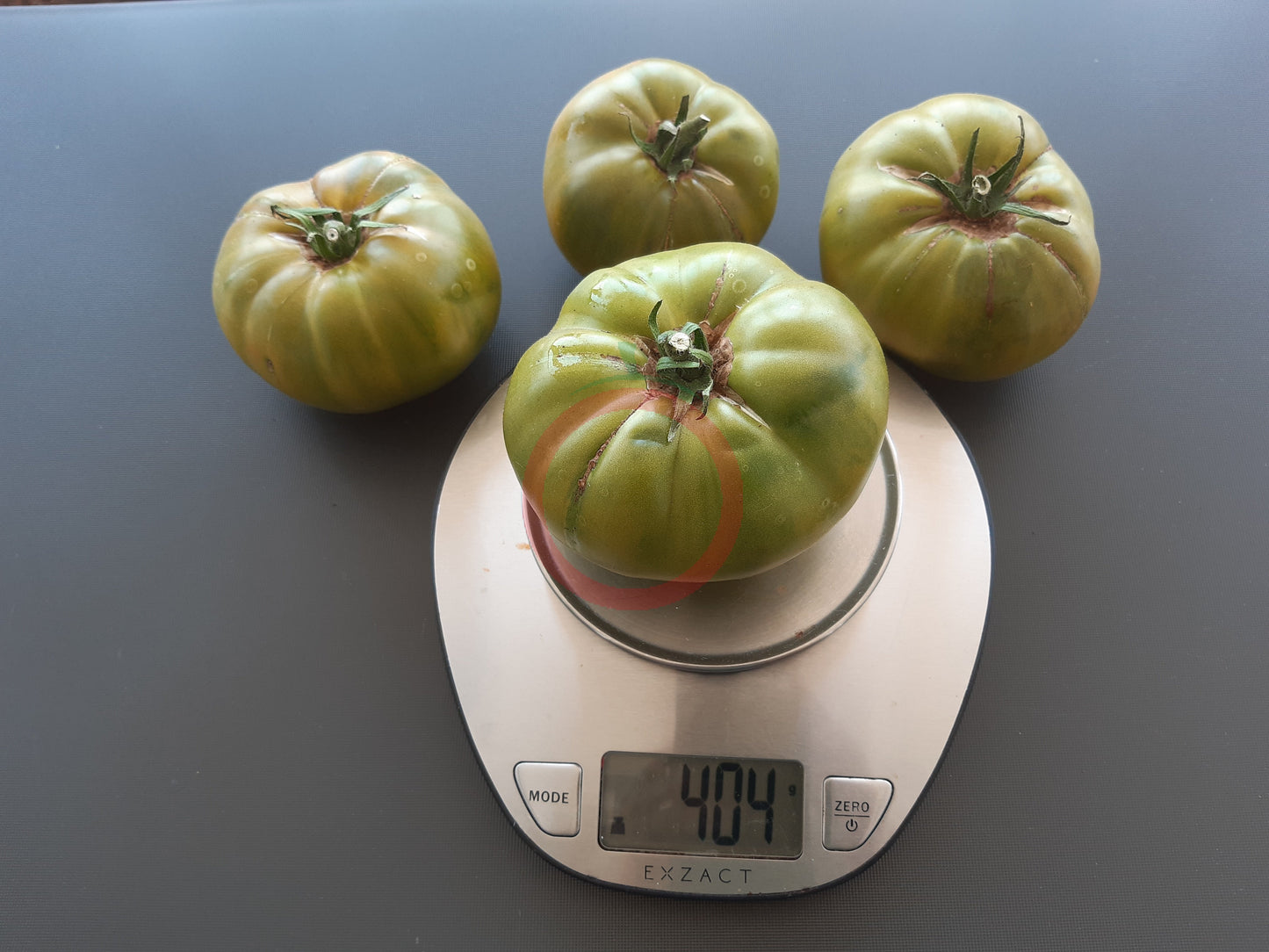 Quapaw Green DER TOMATENFLÜSTERER