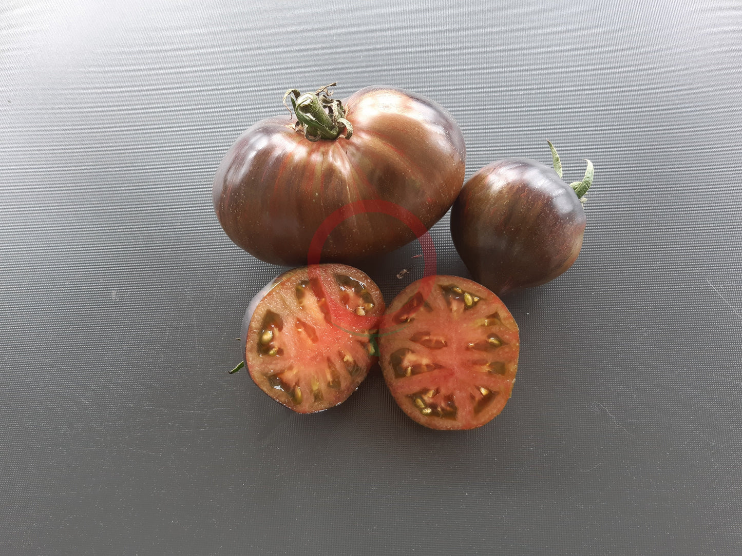 Rebel Starfighter Prime DER TOMATENFLÜSTERER