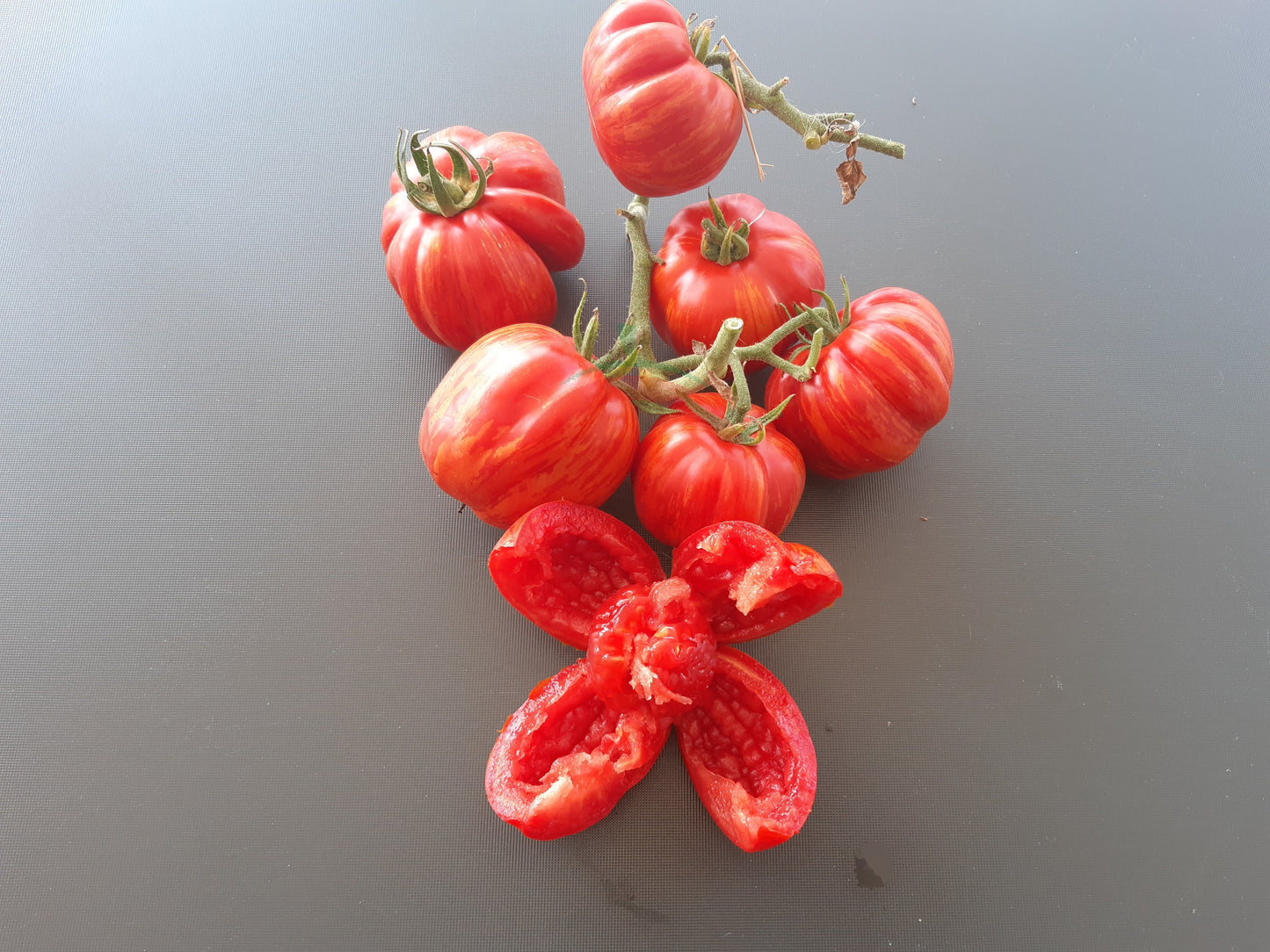 Red Cavern DER TOMATENFLÜSTERER