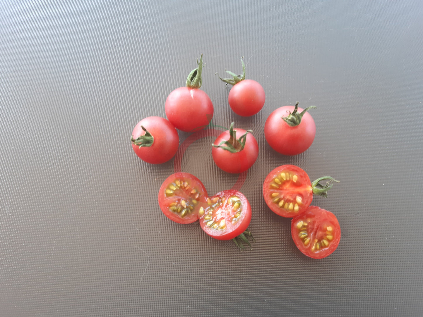 Reinhards Pink Cherry DER TOMATENFLÜSTERER