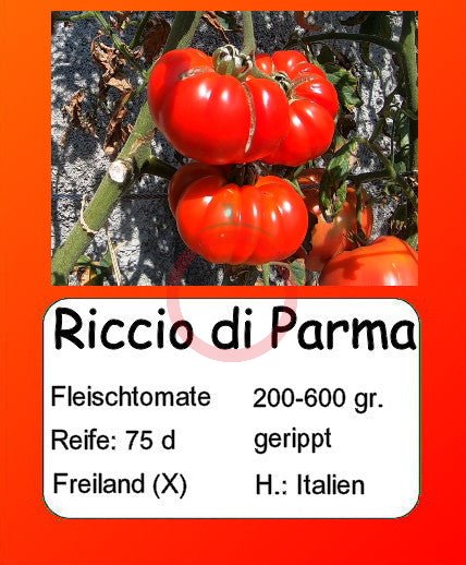 Riccio di Parma DER TOMATENFLÜSTERER