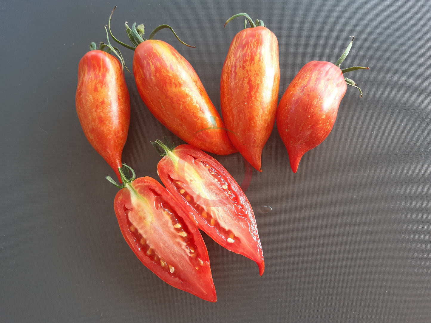 Rosa Flamingo Striped DER TOMATENFLÜSTERER