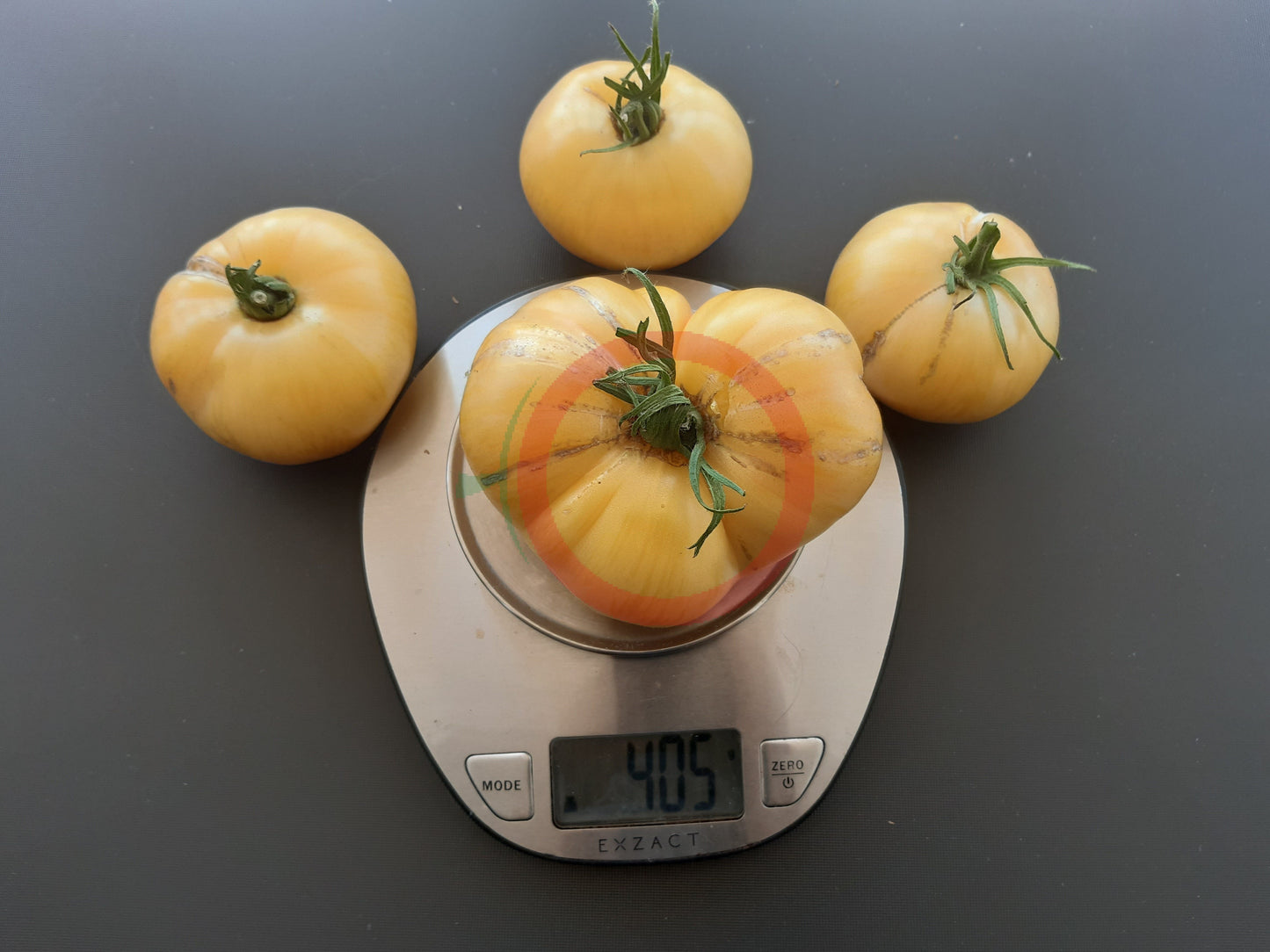 Rose Beauty DER TOMATENFLÜSTERER