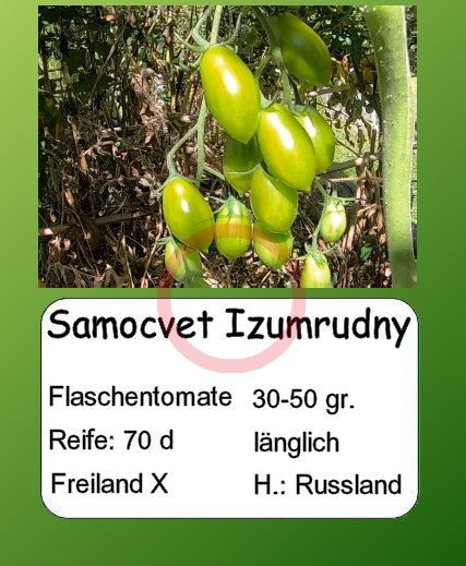 Samocvet Izumrudny DER TOMATENFLÜSTERER