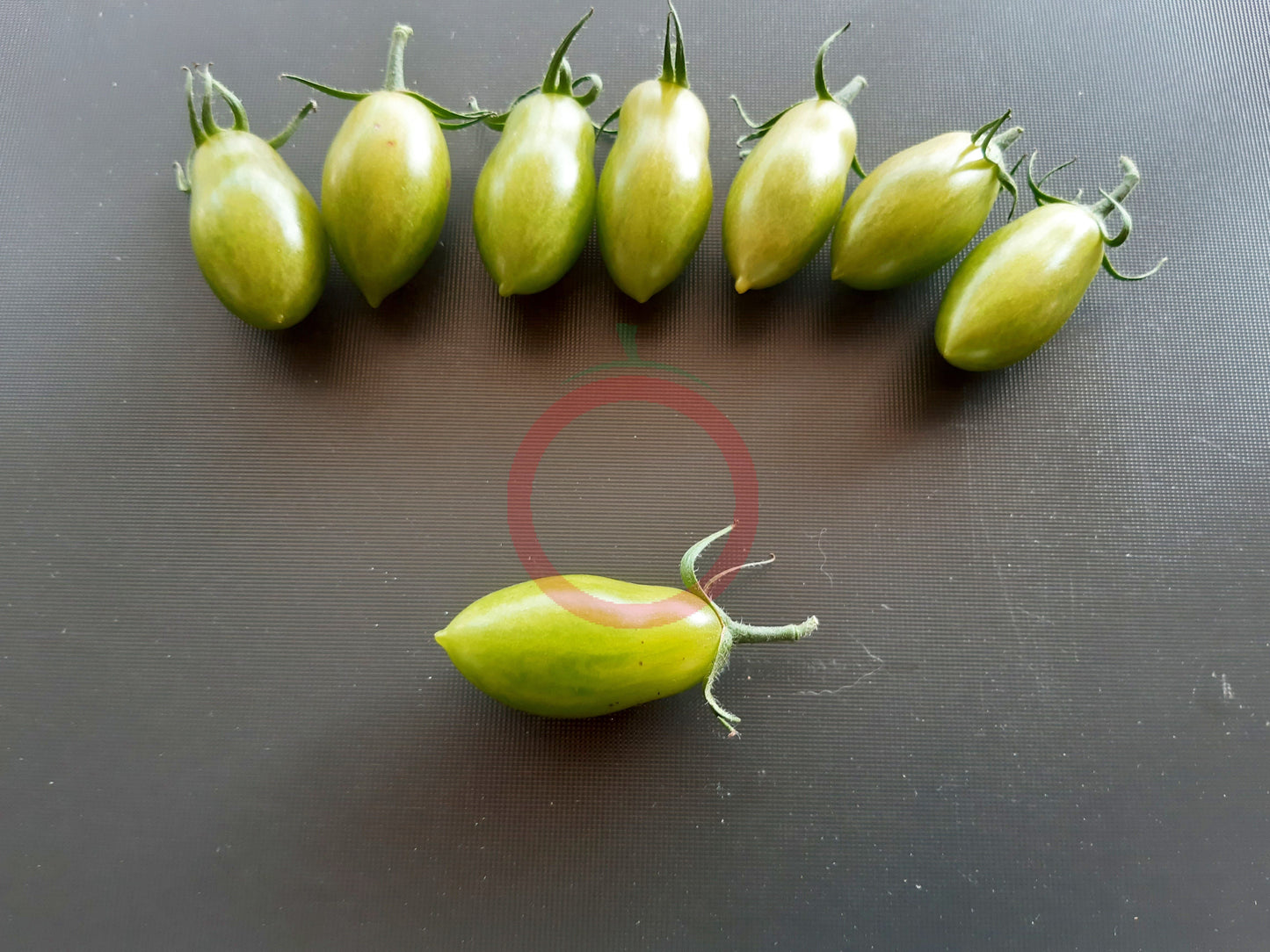Samocvet Izumrudny DER TOMATENFLÜSTERER