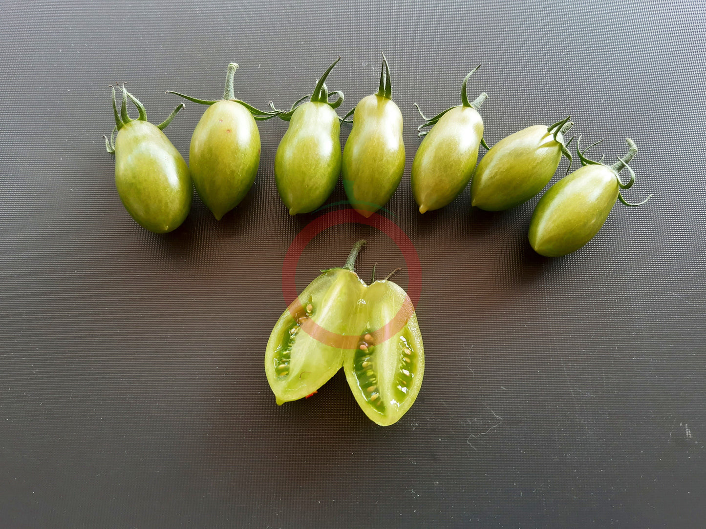 Samocvet Izumrudny DER TOMATENFLÜSTERER