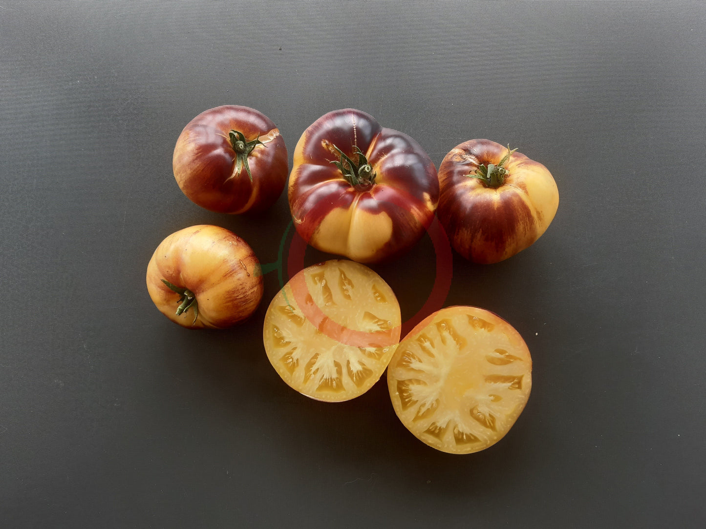 Sart Roloise DER TOMATENFLÜSTERER