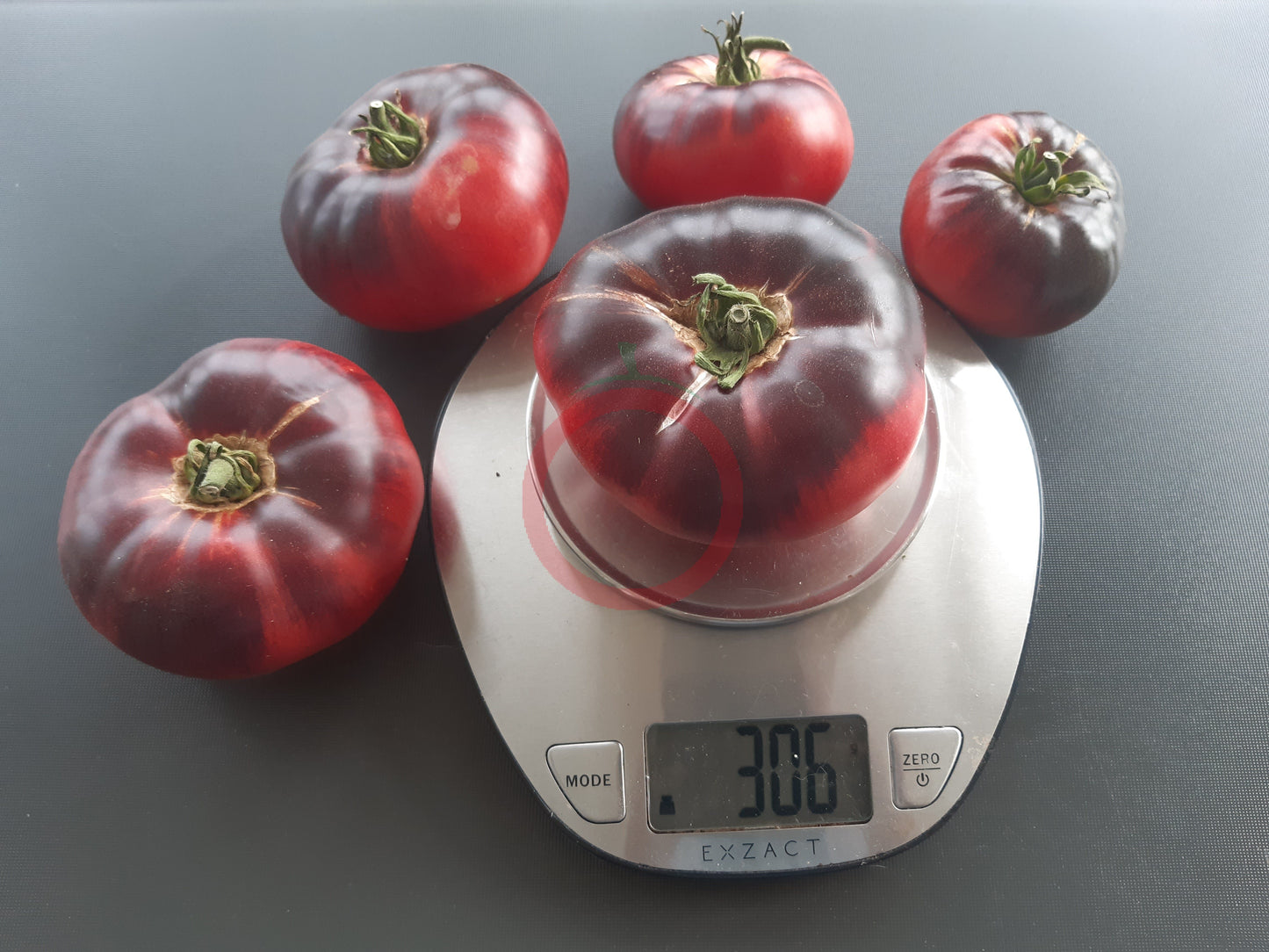 Scottsdale Road DER TOMATENFLÜSTERER