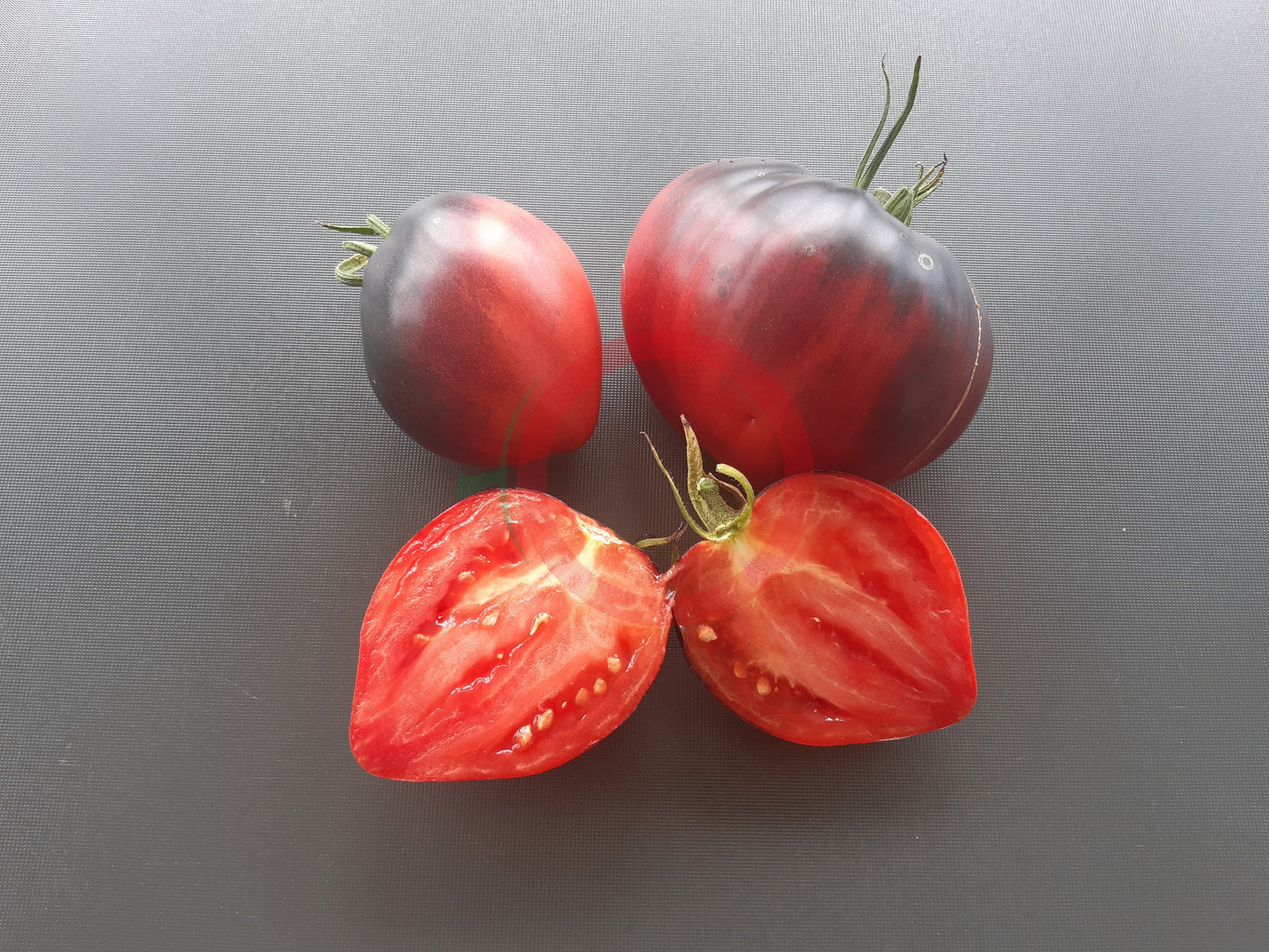 Sgt. Pepper´s DER TOMATENFLÜSTERER