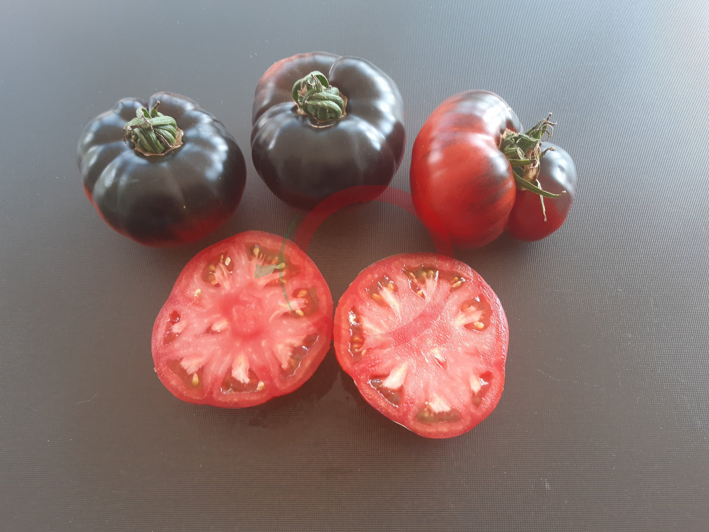 Siberian Panther DER TOMATENFLÜSTERER