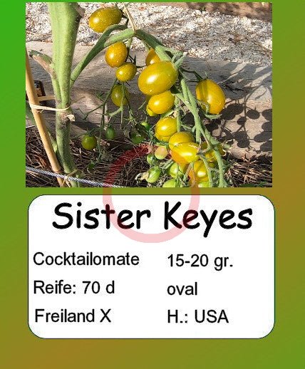 Sister Keyes DER TOMATENFLÜSTERER