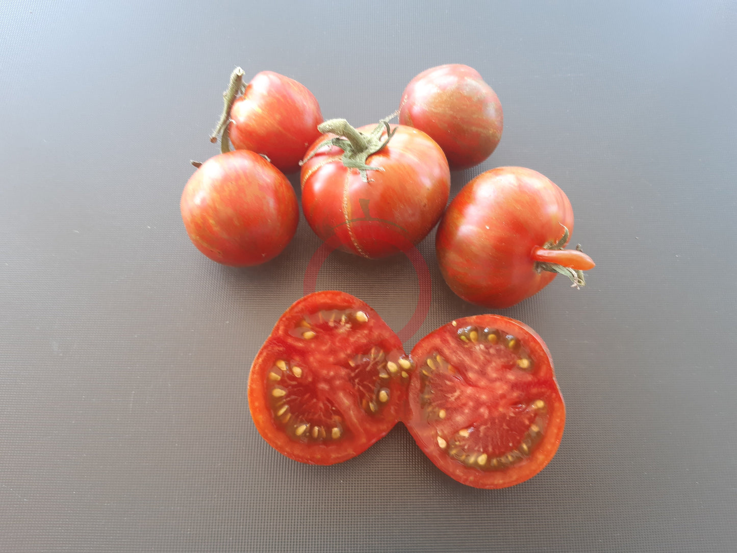 Spike DER TOMATENFLÜSTERER