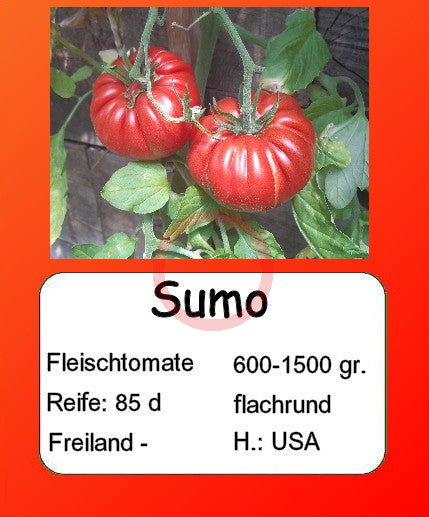 Sumo DER TOMATENFLÜSTERER