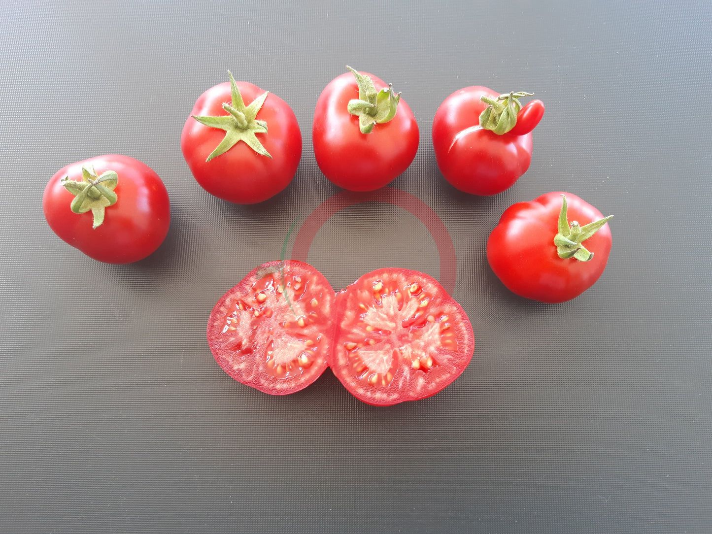 Surender´s Indian Curry DER TOMATENFLÜSTERER