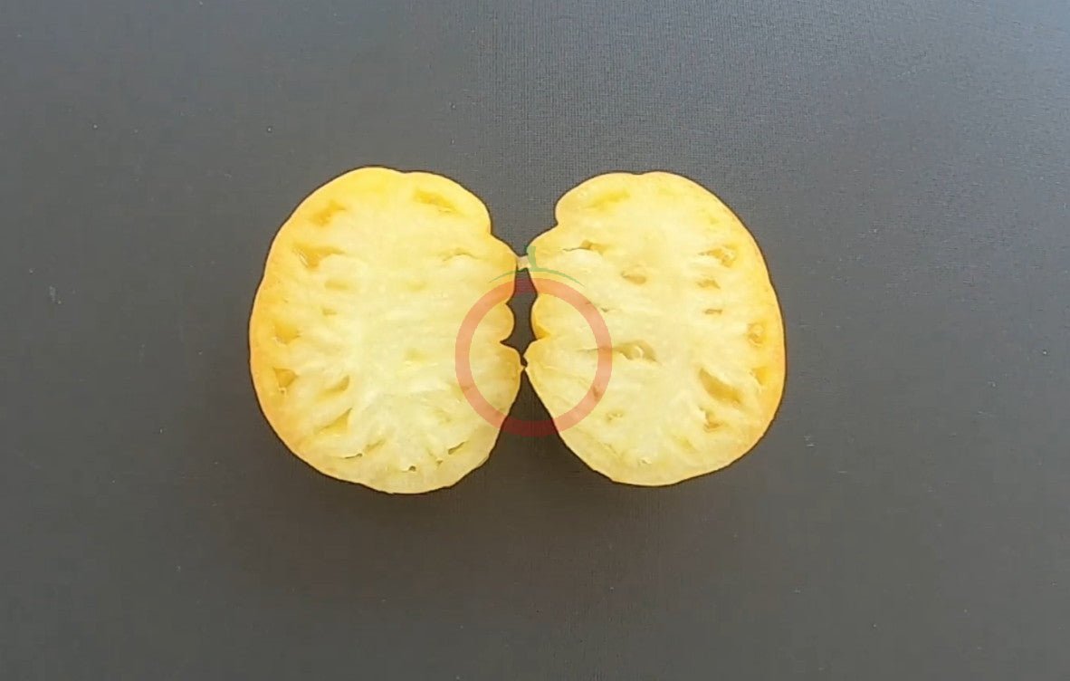 Sveinbjörg DER TOMATENFLÜSTERER