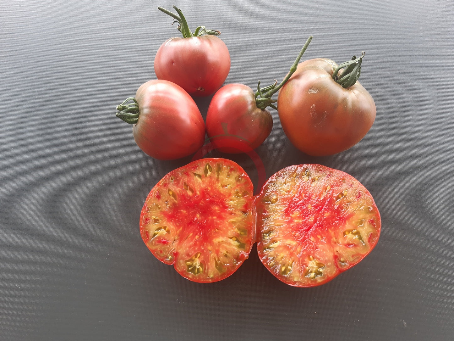 Taiga DER TOMATENFLÜSTERER