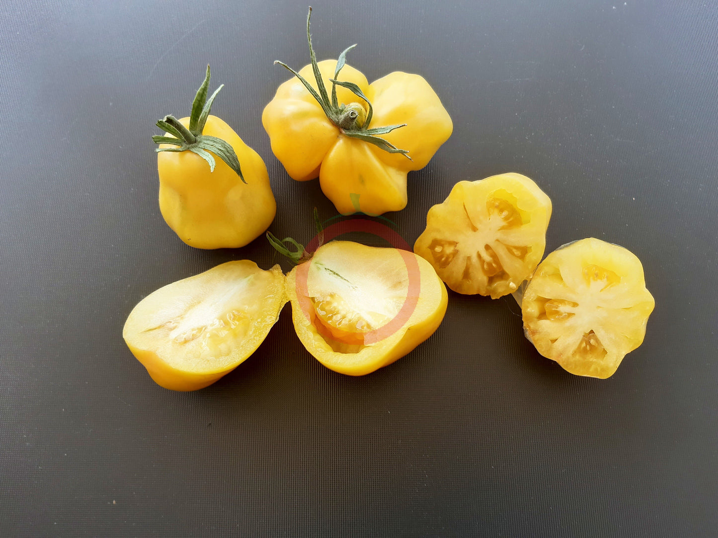 Tlacolula White DER TOMATENFLÜSTERER