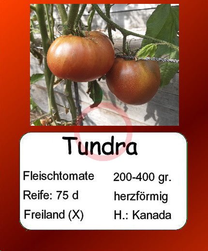 Tundra DER TOMATENFLÜSTERER