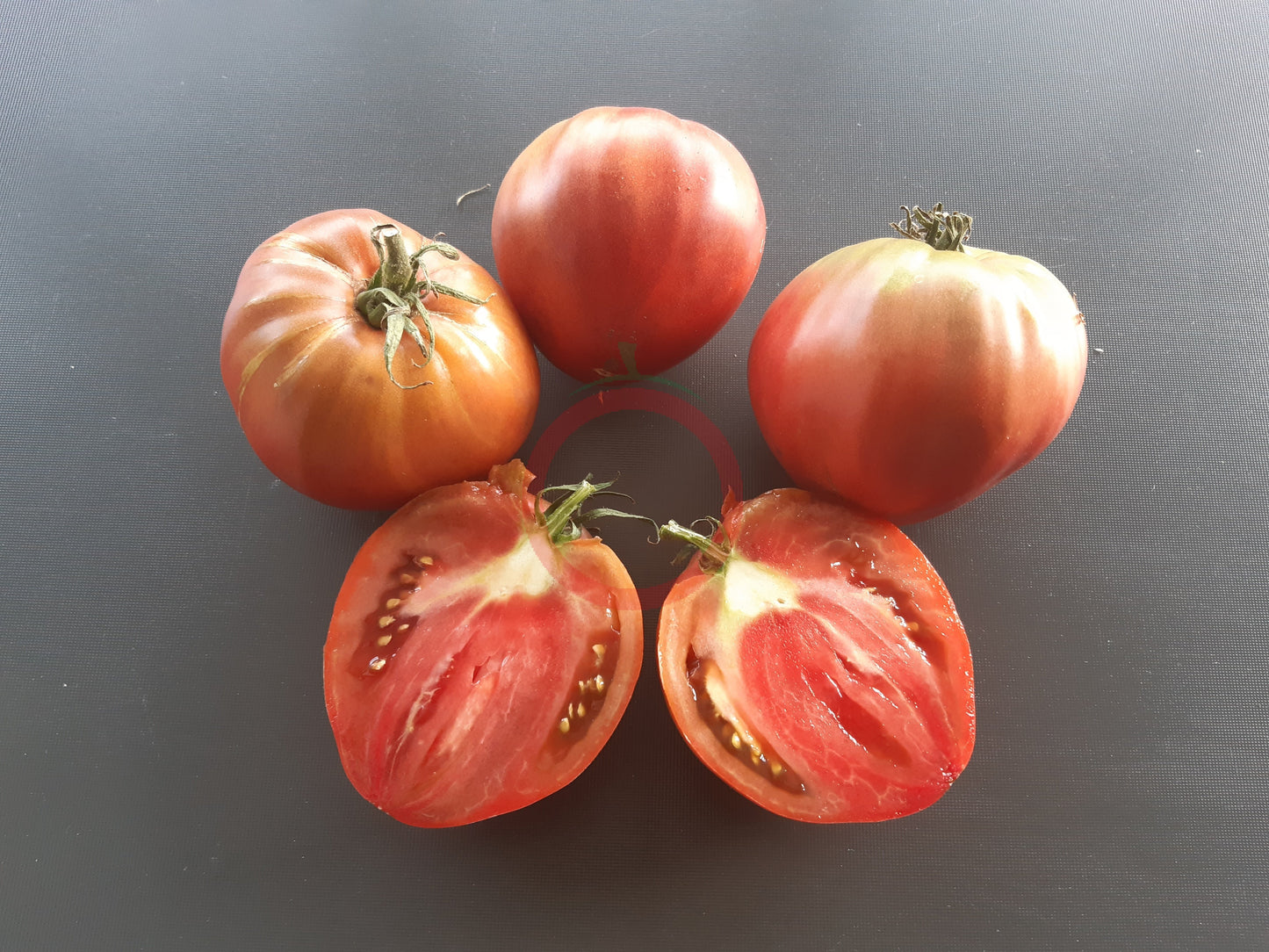 Tundra DER TOMATENFLÜSTERER