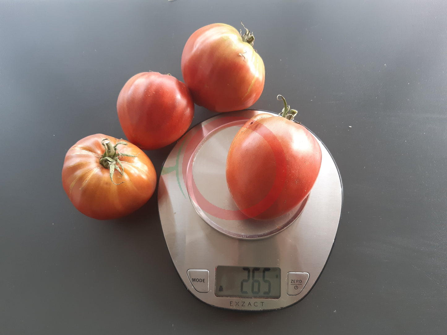 Tundra DER TOMATENFLÜSTERER