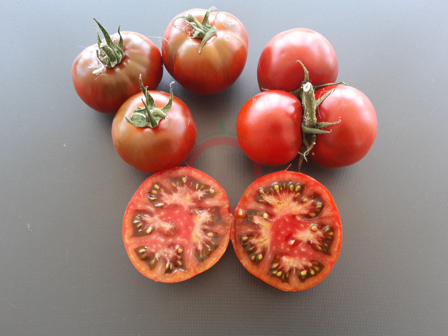 Viagra DER TOMATENFLÜSTERER