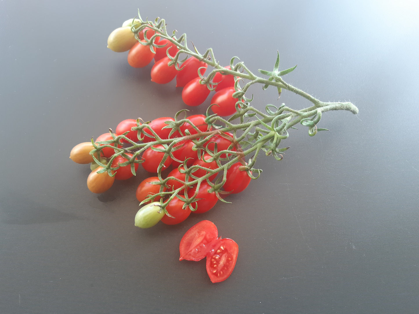 Vierländer Eiertomate DER TOMATENFLÜSTERER
