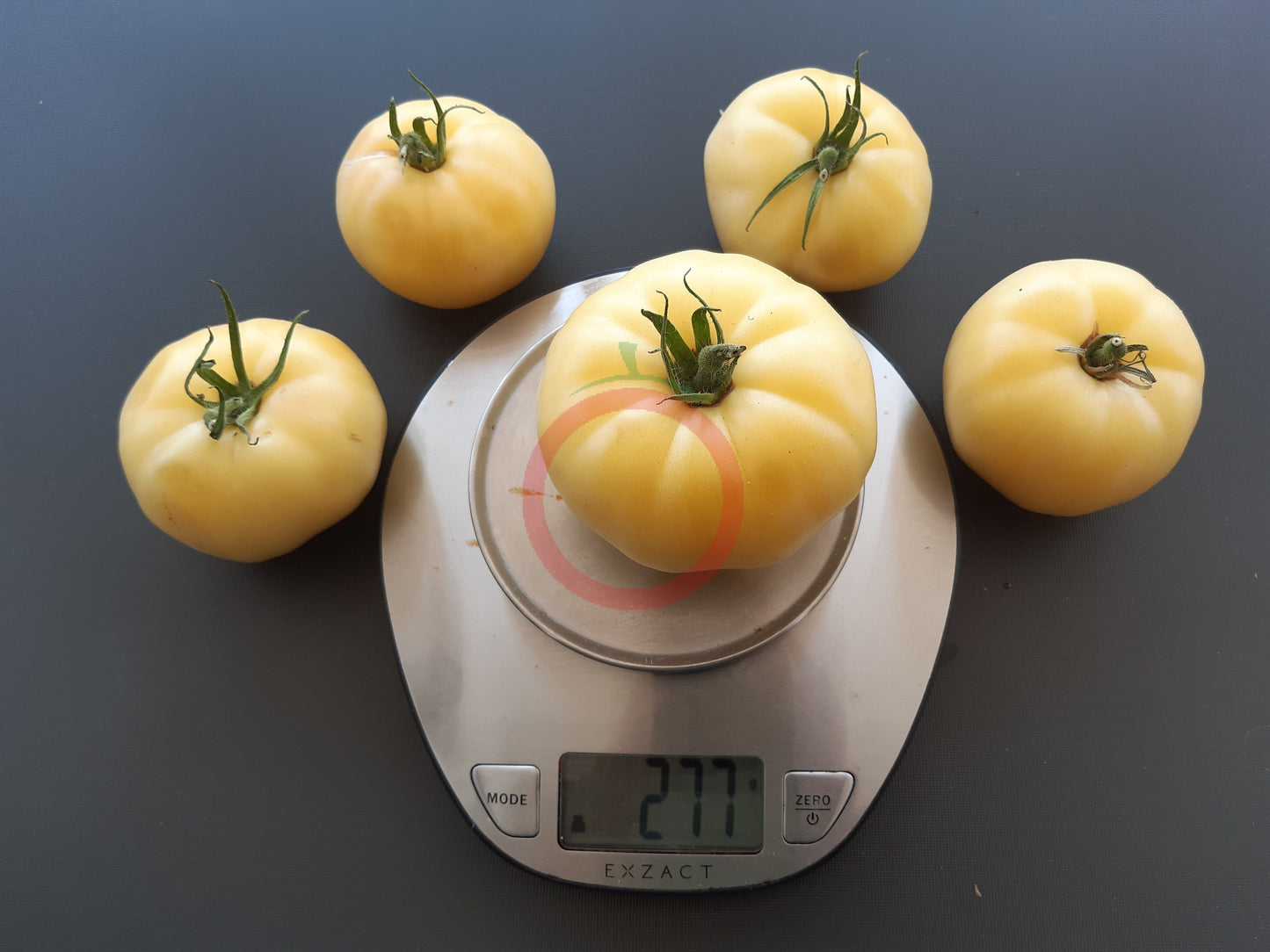 White Wax DER TOMATENFLÜSTERER