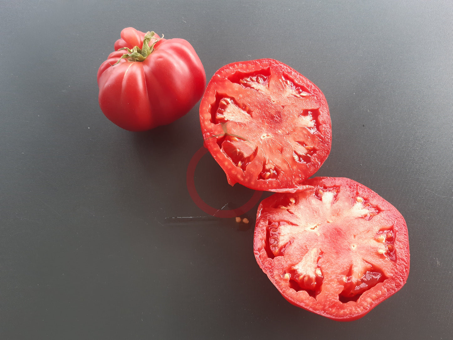 WildThyme Pink DER TOMATENFLÜSTERER