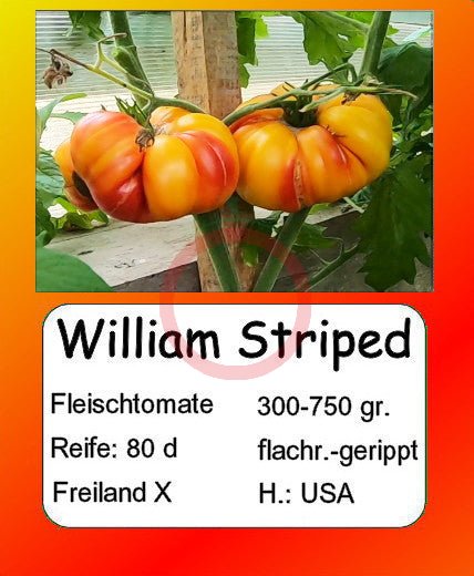 William Striped DER TOMATENFLÜSTERER