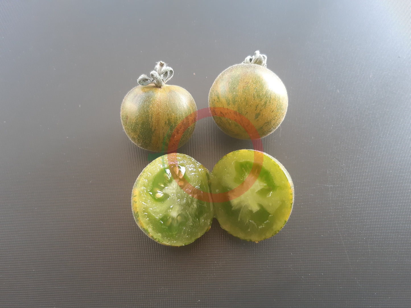 Woolly Green Zebra DER TOMATENFLÜSTERER