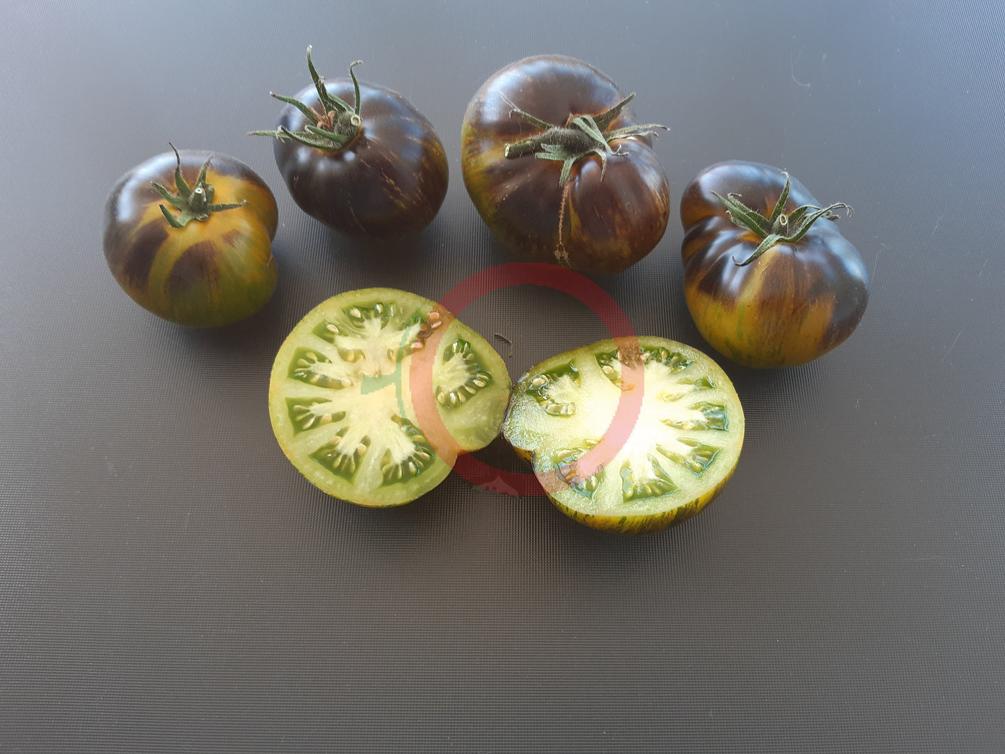 Xanadu Green Goddees DER TOMATENFLÜSTERER