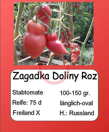 Zagadka Doliny Roz DER TOMATENFLÜSTERER