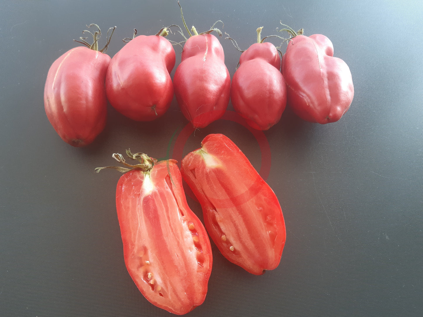 Zagadka Doliny Roz DER TOMATENFLÜSTERER