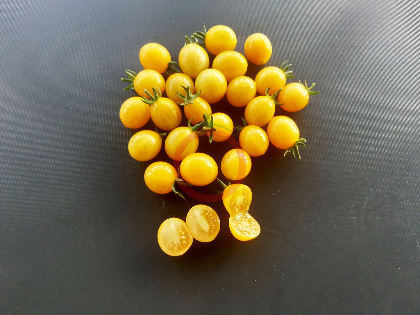 Zluta Kytice DER TOMATENFLÜSTERER