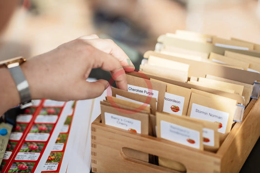 Erfolgreicher Shop-Start DER TOMATENFLÜSTERER