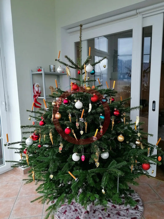 Fröhliche Weihnachten wünschen wir DER TOMATENFLÜSTERER