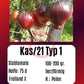 Kas/21 Typ 1 DER TOMATENFLÜSTERER