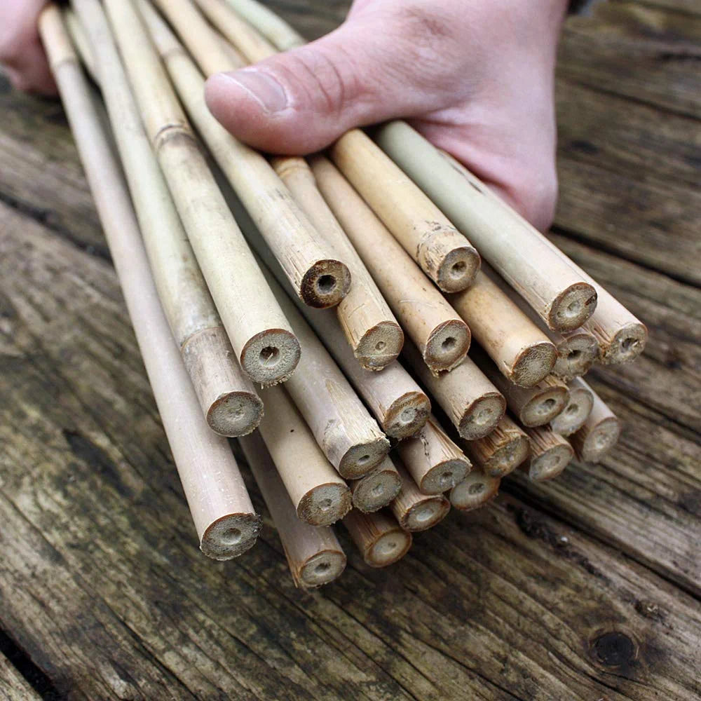 50 Bambusstäbe - Bambusstangen 152 cm lang/ 10-12 mm dick DER TOMATENFLÜSTERER