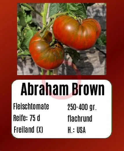 Abraham Brown DER TOMATENFLÜSTERER