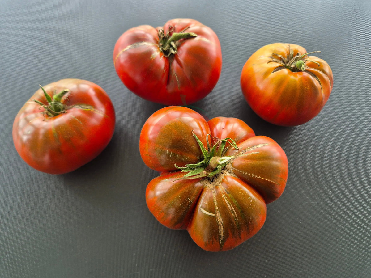 Abraham Brown DER TOMATENFLÜSTERER