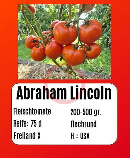 Abraham Lincoln DER TOMATENFLÜSTERER