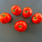 Abraham Lincoln DER TOMATENFLÜSTERER